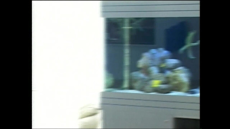 Full Movie XXX: Una Flor Silvestre