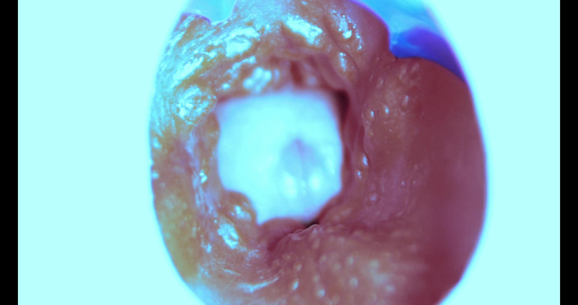 SEXY_GUYBEST: 我是如何从内部操的！相机里面！