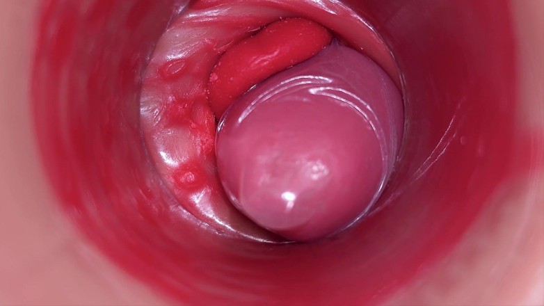 Ladybottox: 在一个 camgirl 子宫颈 pov 相机阴道与大鸡巴玩具