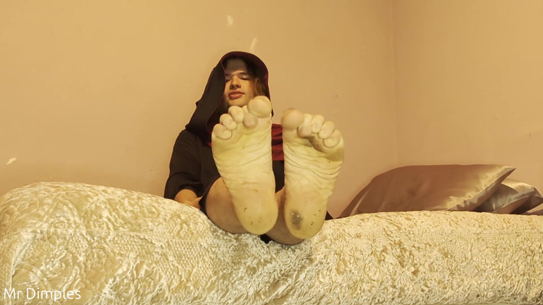 Mr Dimples: Awak Sertai Kucing!