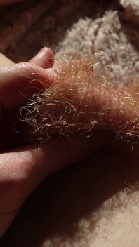 ジンジャーヘアのプッシーブッシュの視点を見せる