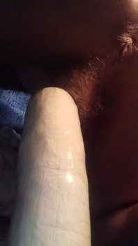 Seksi Seksi