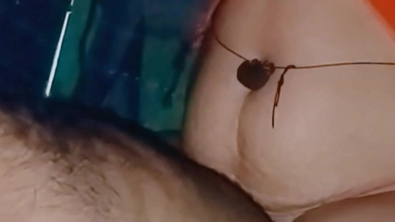 NituRandi94: ワイルドセックス:ドント・ゴー・ソー・ハード