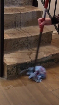 Pissing on the stairs