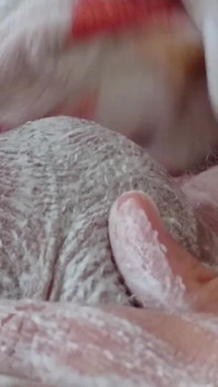 Điều dưỡng cạo lông từ lỗ đít và bìu