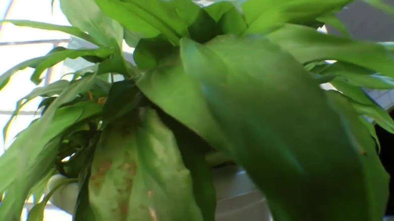 All about pee: Lezbiyen sidik gerçek dev sahibeyi yutuyor ve litrelerca çiş