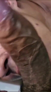 Sucking Cock and Taking a Load.