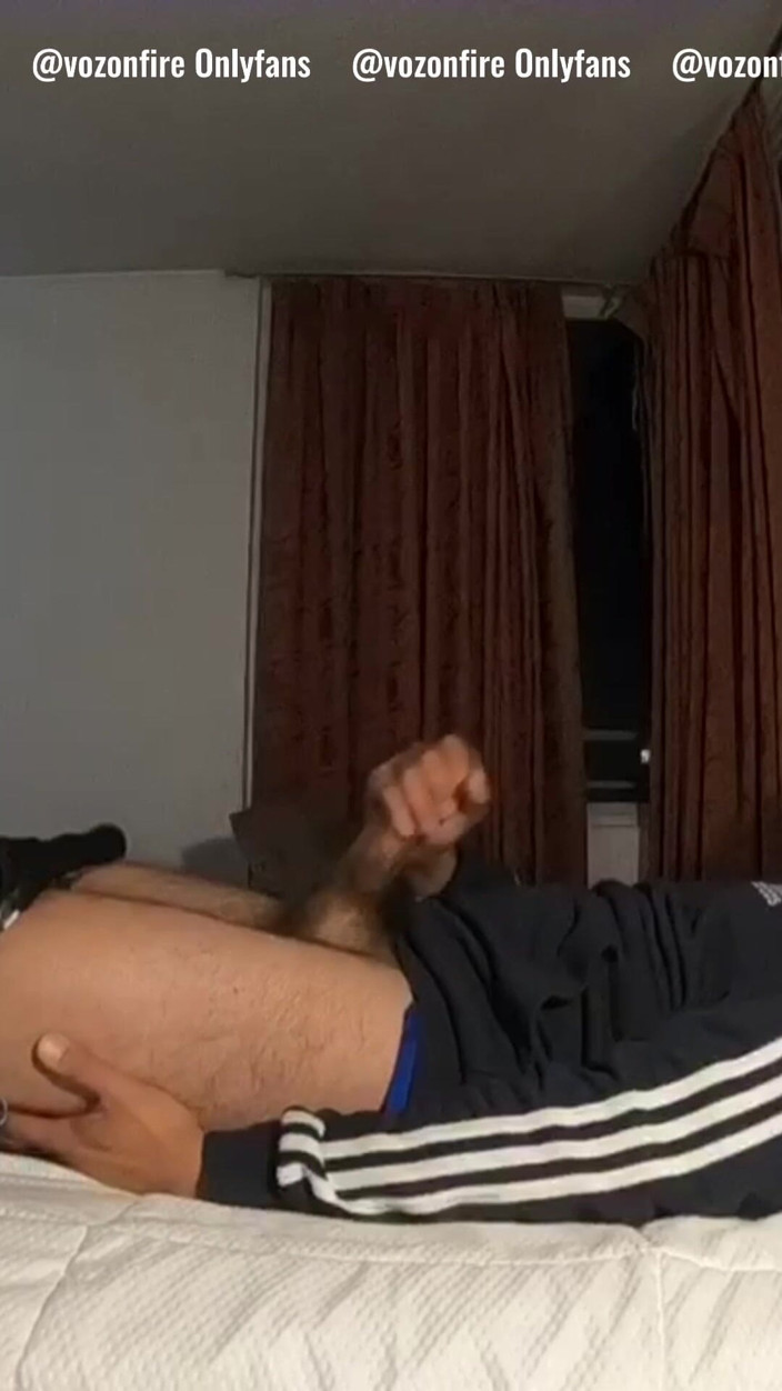 Hardnoisex: Uma coleção de cordeiros Muito leite