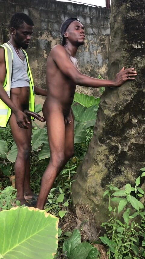 Sexydaddy: Utomhussex bakom palmen är gården