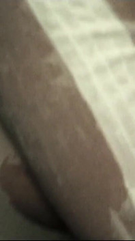 Trailer383