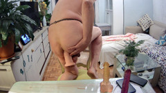 Three Dildos for One Ass thumbnail