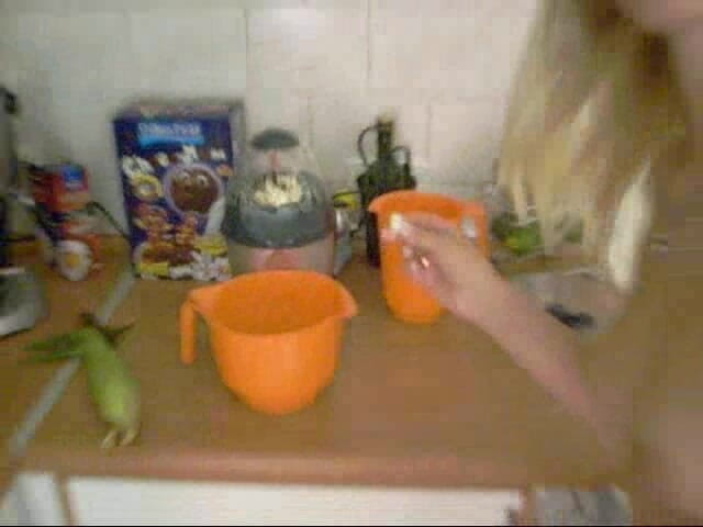 Blondehexe: Popcorn Chatte