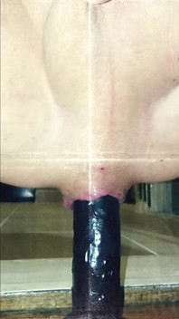 Anal Dildo Home