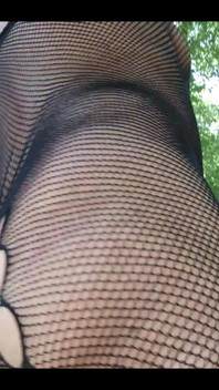 I Love Nets, Lace, Sheer