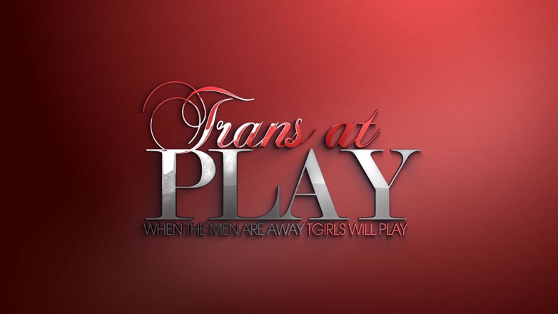 Trans 500: Ms.carvalho's Private Show