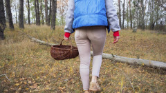 Teasecombo 4K: Milf in engen hosen sammelt pilze im wald, arschfetisch