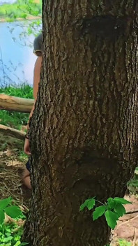 Caught Sucking in the Woods - Unexpected Threeway with a Stranger