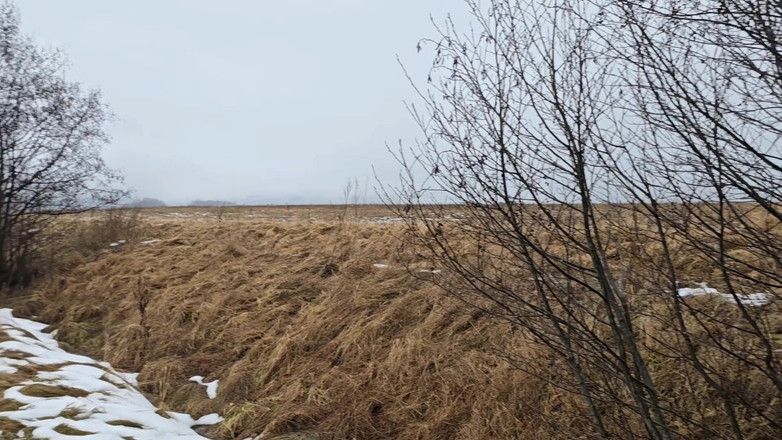 Alpha pee king: 少しリスクのあるおしっこ - 視点:自然散策中の屋外の男性のおしっこ