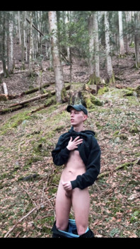 In the Forest