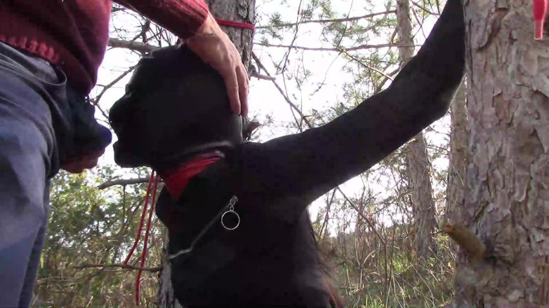 LauraOnHeels: Outdoor sex in the wood. Wearing sexy clothes and high...