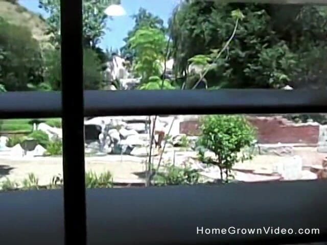 Homegrown Vintage: Dia em movimento interrompido para sexo