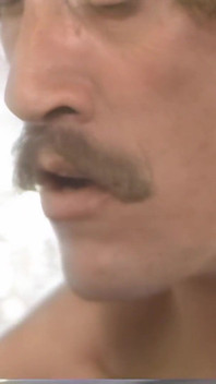 Král porna