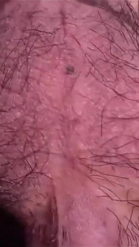 이 매혹적인 게이 포르노 비디오를 위해 혼자 움직이는 섹시한 Twink의 털이 무성한 공