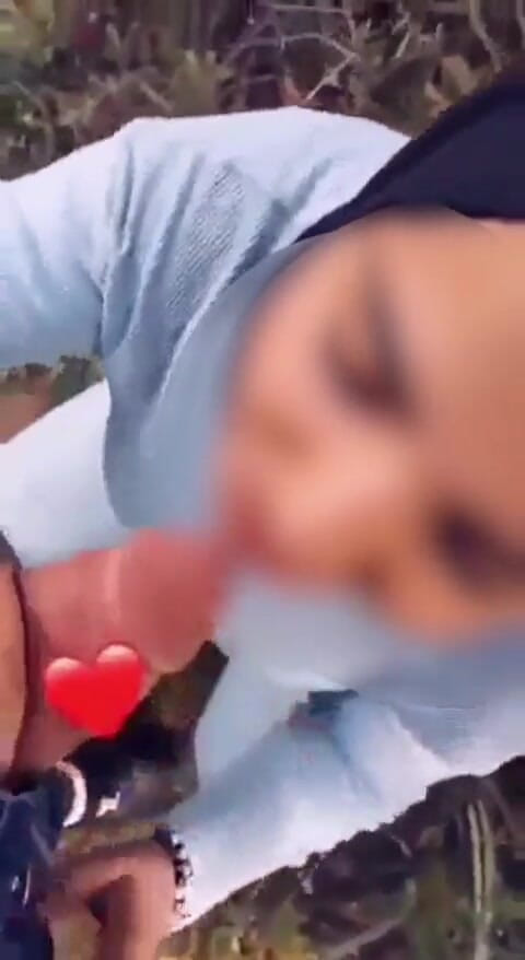 Amiramodel: Pipe Arab