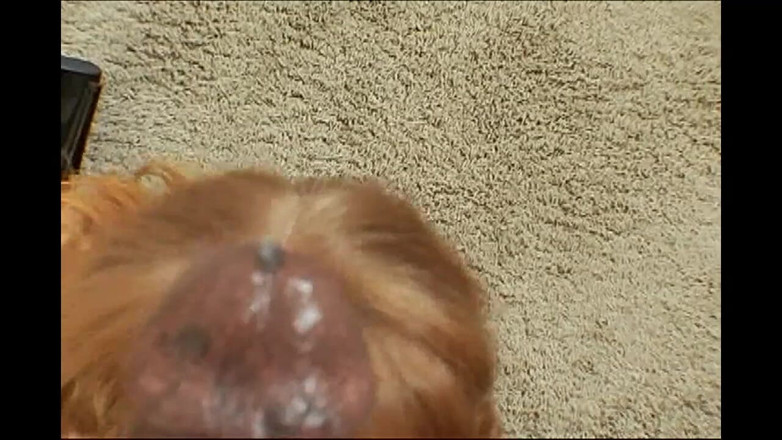 Mustang Accademy - VOD: La redención de bbc