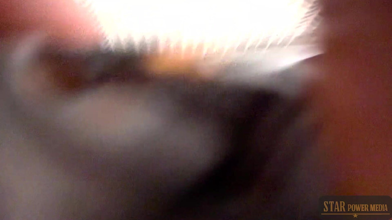 Star Power Media: Peituda Latina MILF Dunken Hina Sneaks off Para Atlas Steele's...