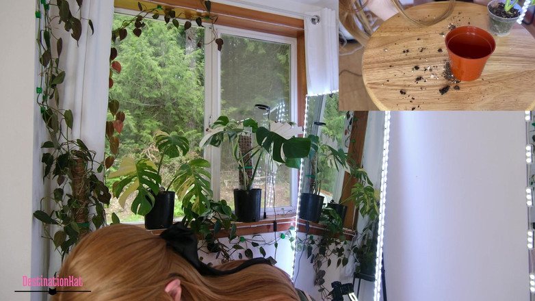 Destination Kat: Zahradničení s Kat- repotting Monsteras Sfw