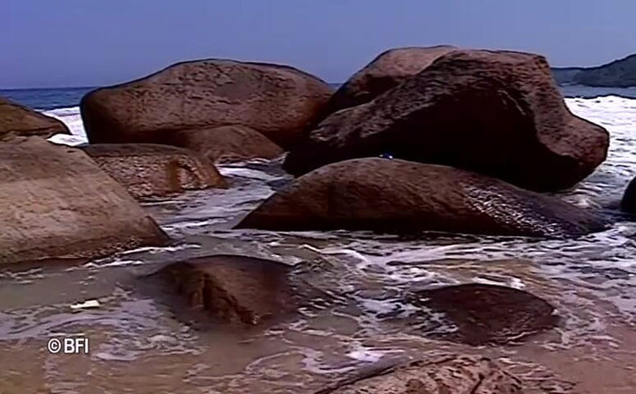Weird & Bizarre: ubhaylingi samudr tat utsav 1 men 2 drishy