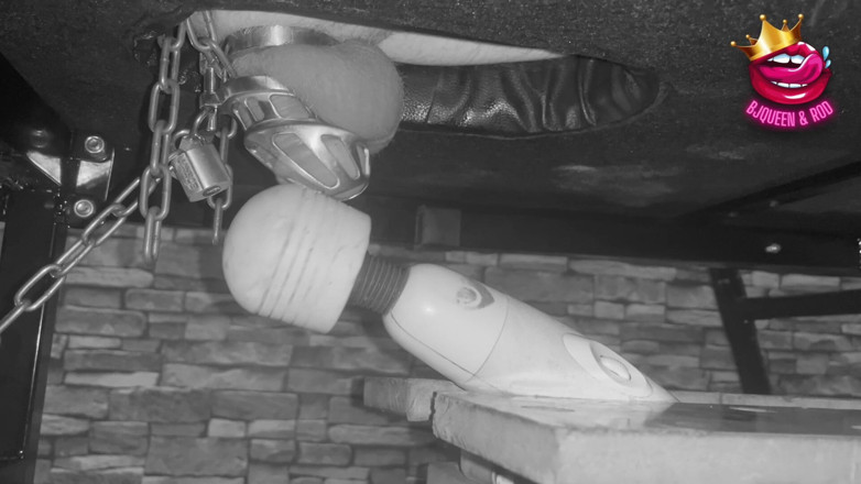Mistress_BJQueen: Fait pour jouir dans une cage de chasteté retenue sur...