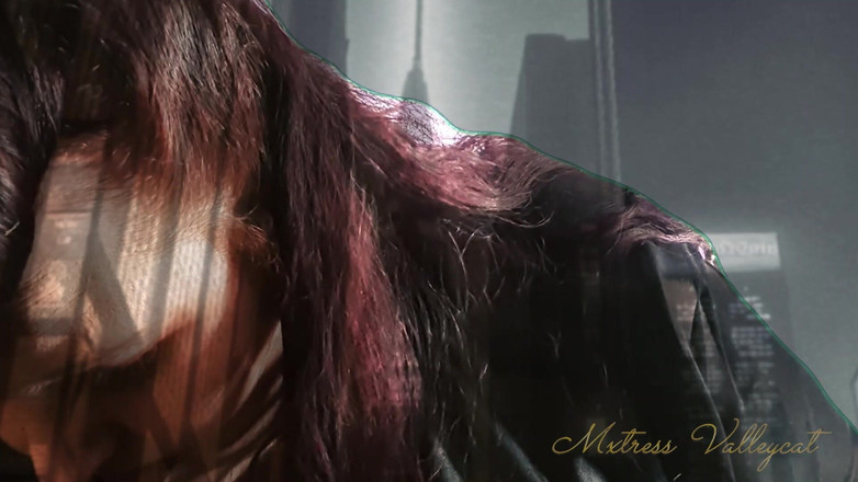 Mxtress Valleycat: Holografické obryně