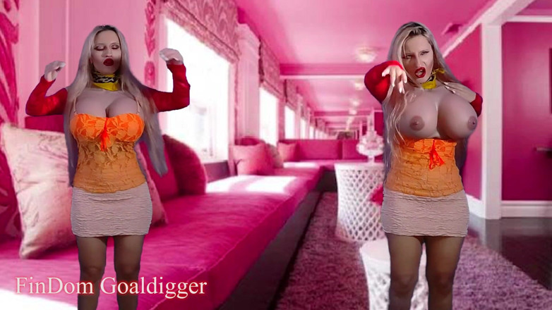 FinDom Goaldigger: Martori invizibili joi joc pe computer