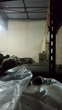 我婆婆想逃脱谋杀罪