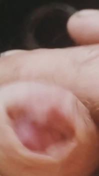 Penis Wanking