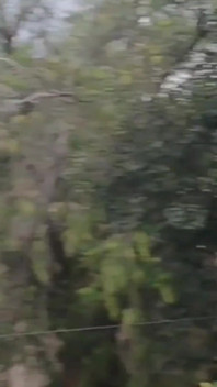 Drone'mla uçarken komşularımı sikişirken yakaladım