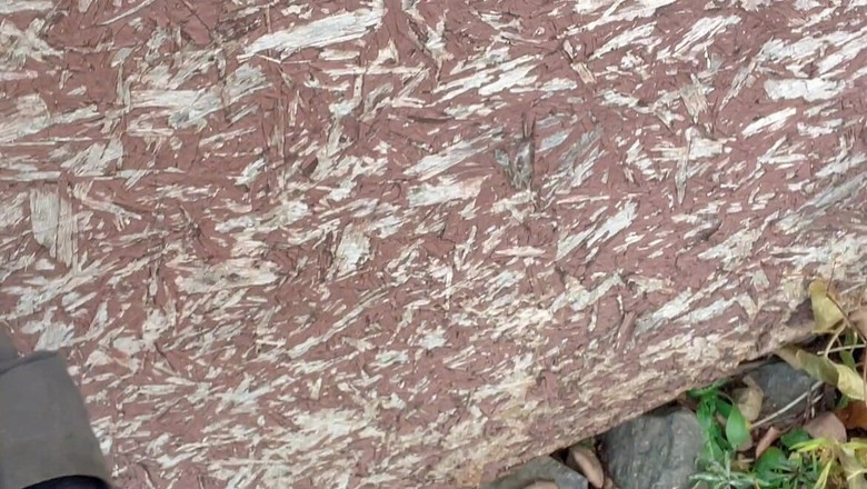 sweethanajapanese: Chcací voda, Procházka do zahrady