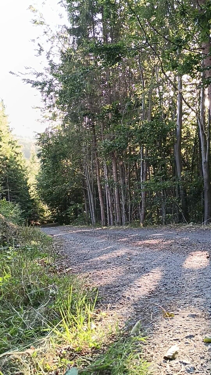 kickerscooter: Skuter jeźdźca na zewnątrz masturbacja