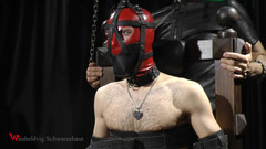 Wanheldvig: Zeus munkade under mask och elektriska till fötter