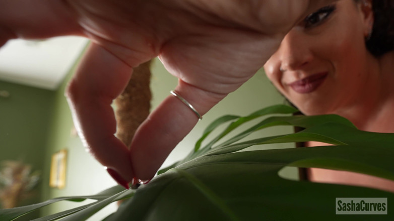 Sasha Curves: Giantess Maid's Horrible Bosses