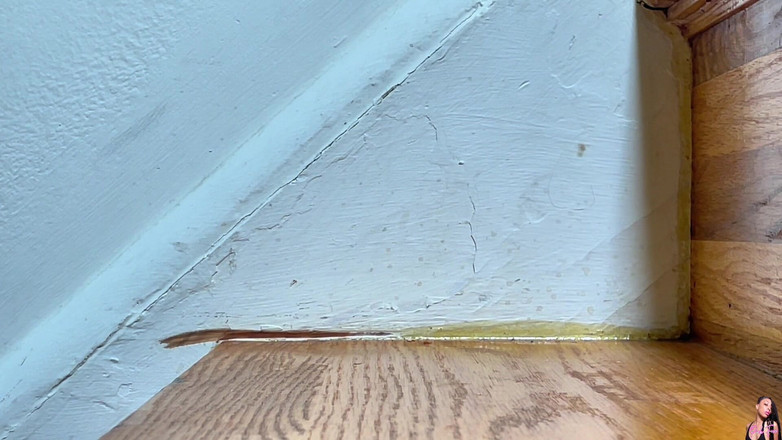 Pink Foxx: Ходьба вгору і вниз по сходах