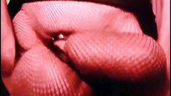 Monster_Meat_: Fantasie interessanti