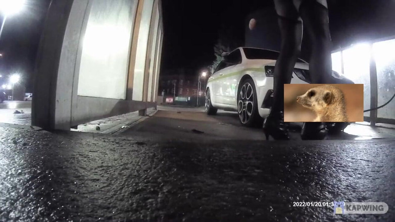 Lingeriemanx69: Lavado de autos en medias 1