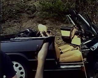GERMAN PORN CLASSICS: Wild Fickfreuden Perverse Couples