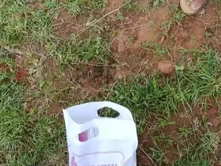 南印度女士硬操逼