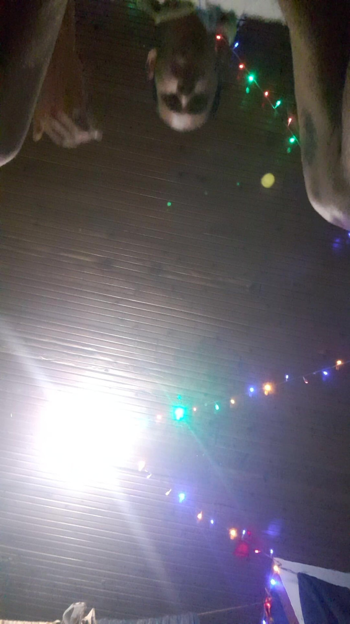 Carass: Latarka w nocy