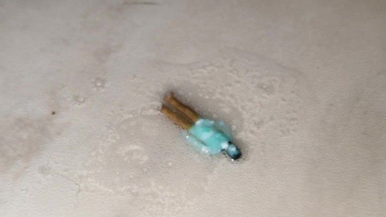 Isabel: Tiny Man Caught Swimming in Spit