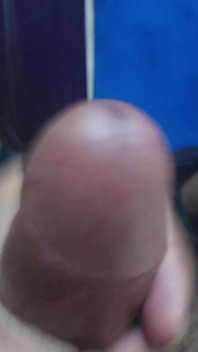Zakar desi